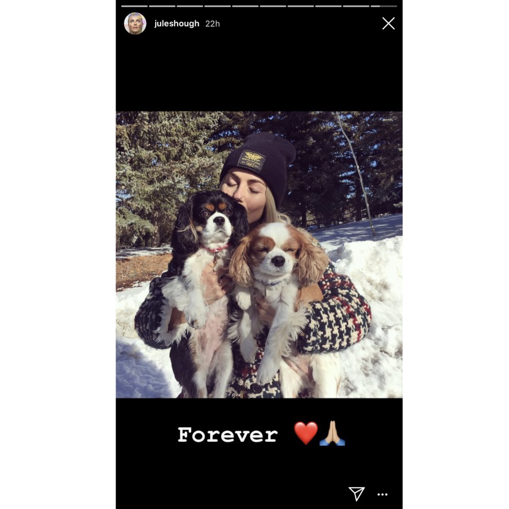 Julianne Hough Shares a Heartfelt Tribute to her Late Dogs on Christmas