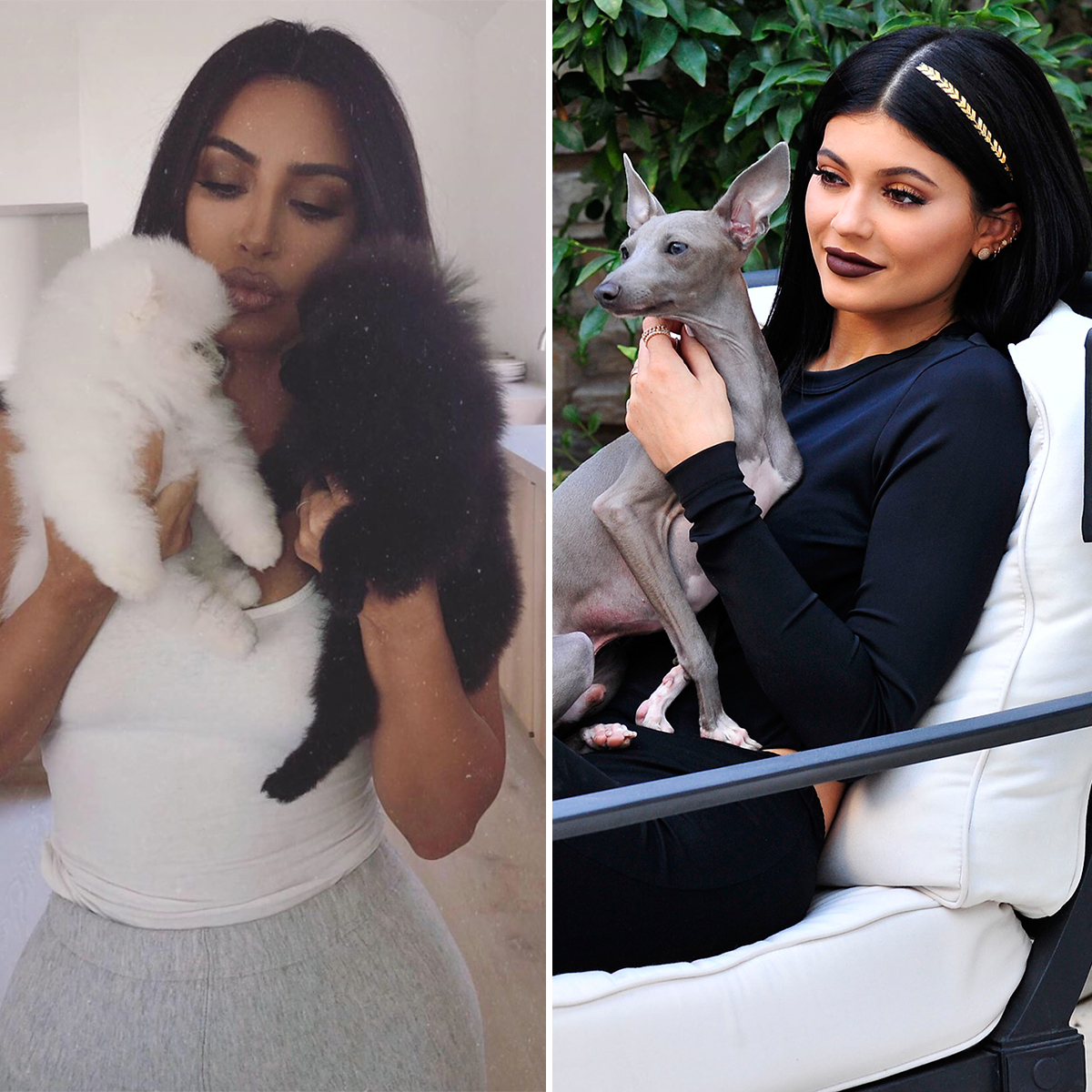 Kardashian-Jenner-dogs