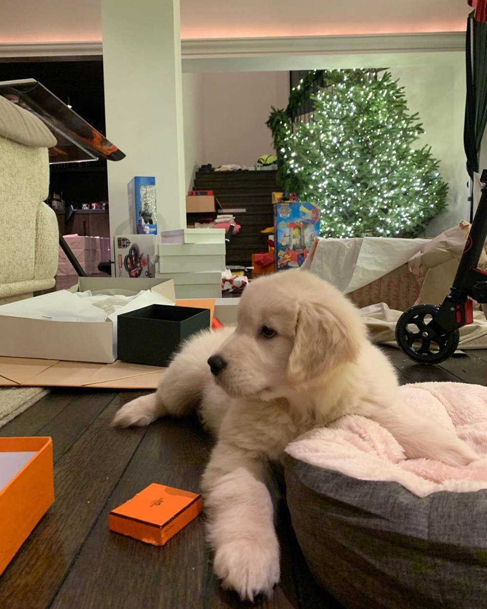 Kourtney Kardashian Got a New Puppy for Christmas