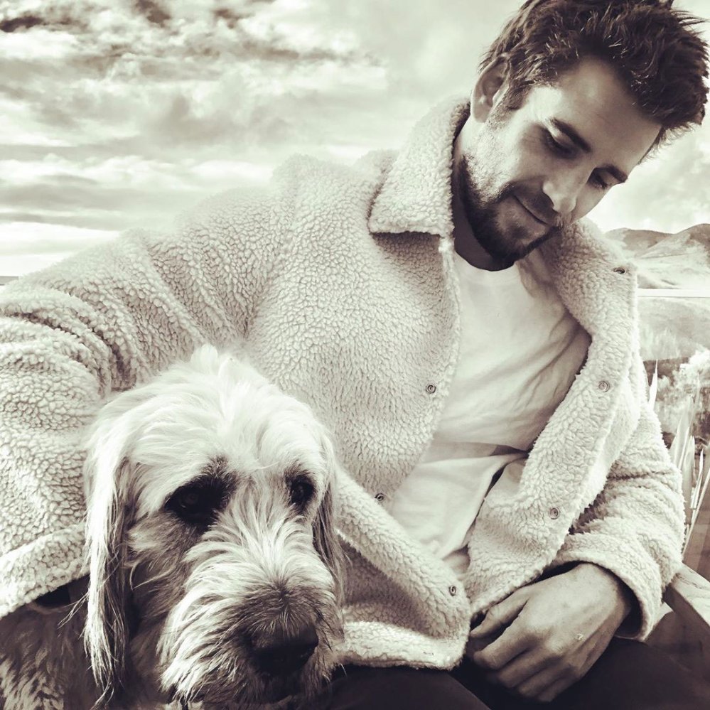 Liam Hemsworth and Dog Dora Thirst Trap Instagram