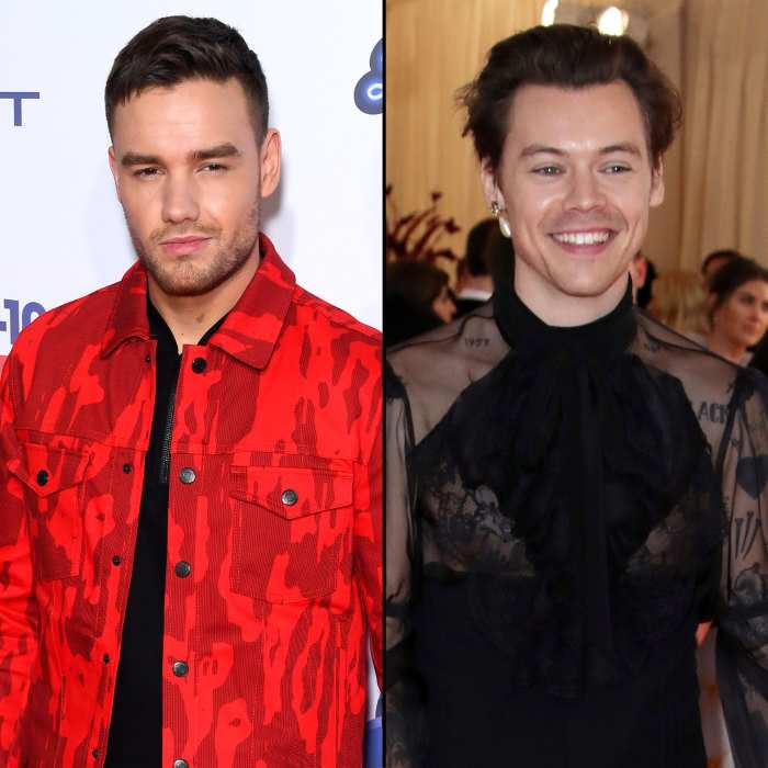 Liam Payne Says Harry Styles Is ‘Polar Opposite’ of Him