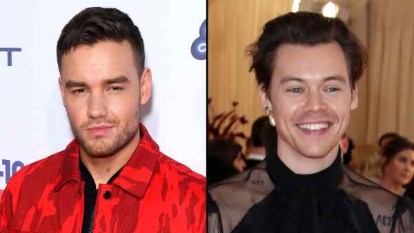 Liam Payne Says Harry Styles Is ‘Polar Opposite’ of Him