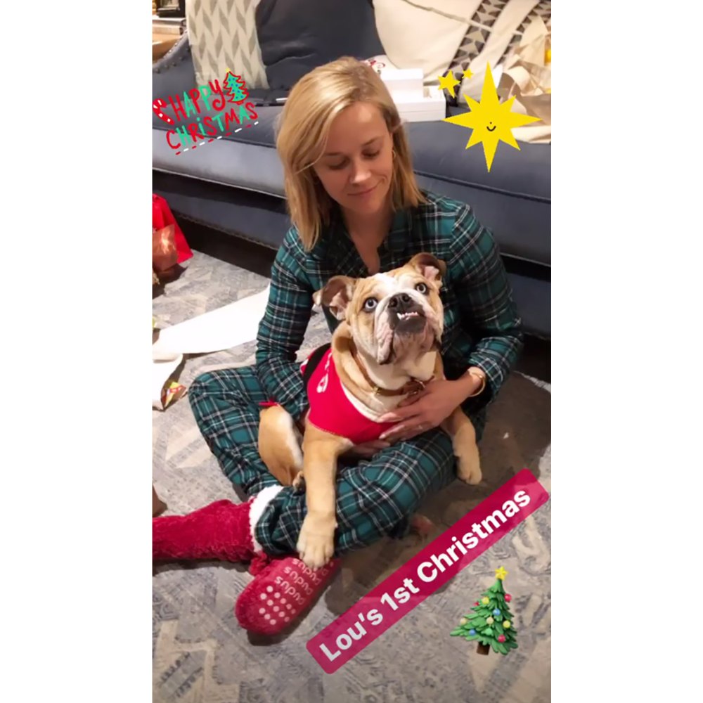 Reese Witherspoon's Bulldog Celebrates His First Christmas