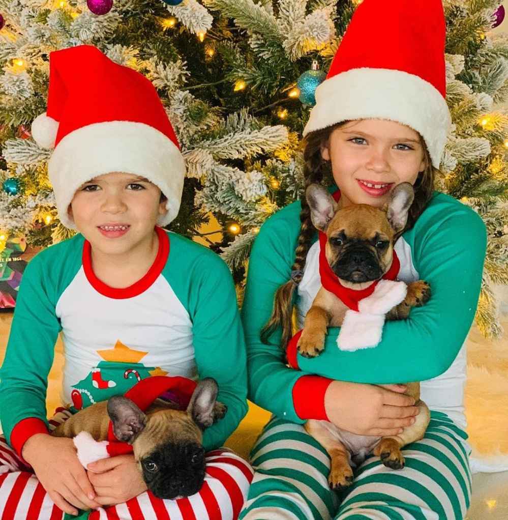 See Which Celebs Have Gifted Adorable Pups for Christmas