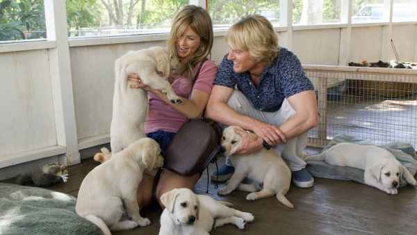 These Dog Movies Will Make You Cry Every Time