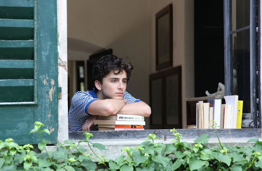 Timothee Chalamet Rise From Theater Kid to Critical Darling