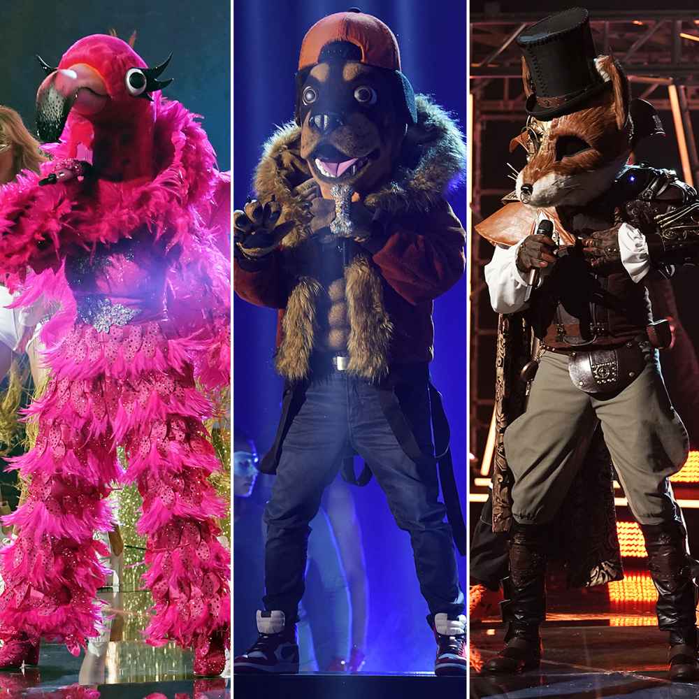 Who Won 'Masked Singer'? Fox, Flamingo, Rottweiler Revealed