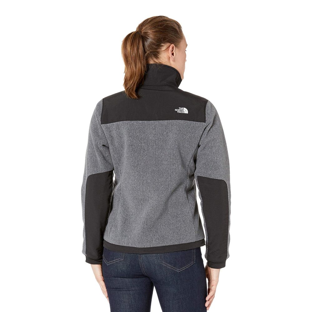 The North Face Denali 2 Jacket