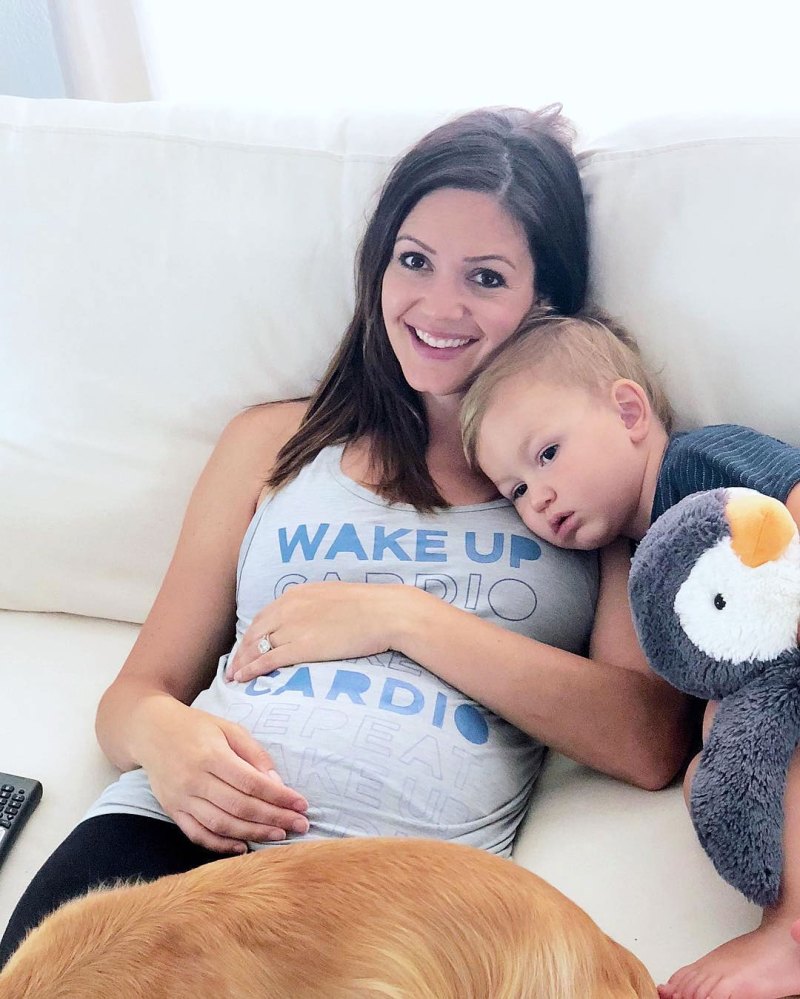 Second Pregnancy Desiree Hartsock and Chris Siegfried Love Timeline