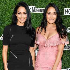 Brie Bella and Nikki Bella Are Both Pregnant