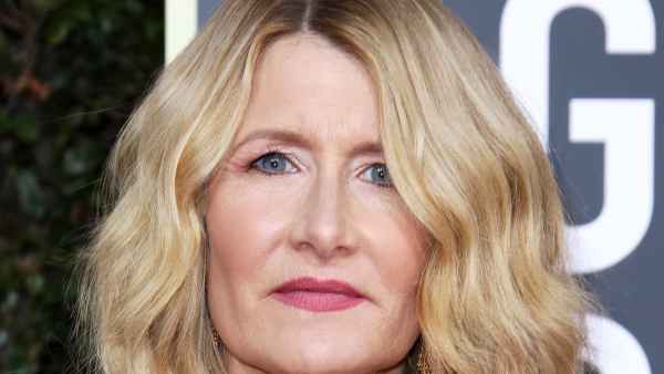 Golden Globes 2020 Makeup - Laura Dern