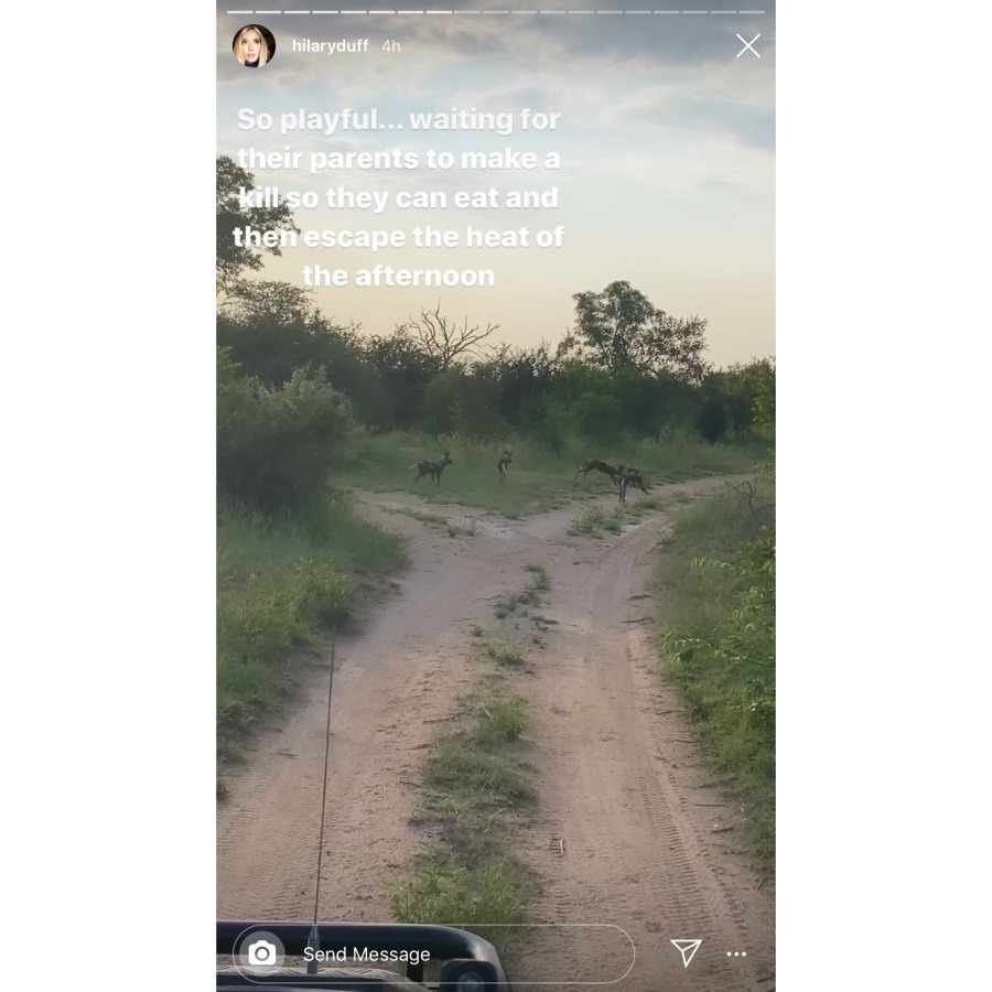 Hilary Duff Honeymoon updates