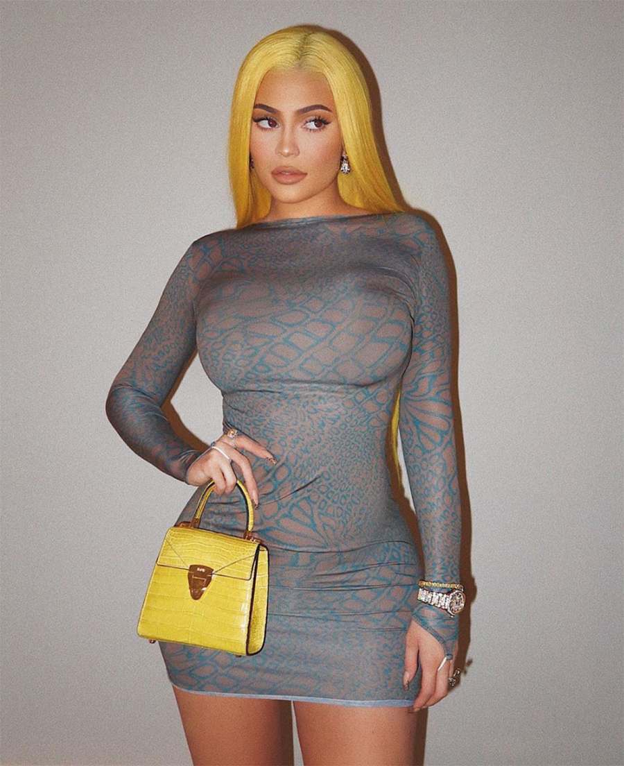 Kylie Jenner Matches Her Hair to Her Handbag