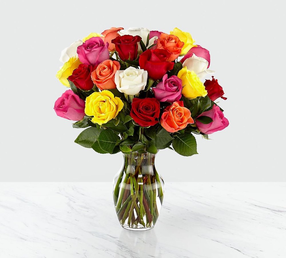 Mixed Roses