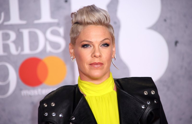 Pink Donates $500,000 to Help Fight Australian Bushfire, Plus More Stars Offering Support