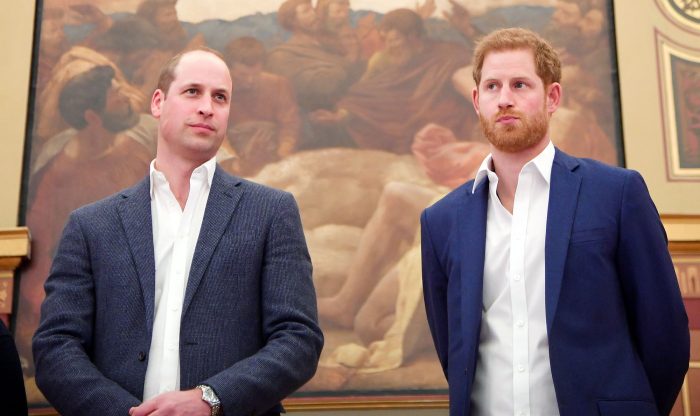 Prince William and Prince Harry Issue Rare Joint Statement