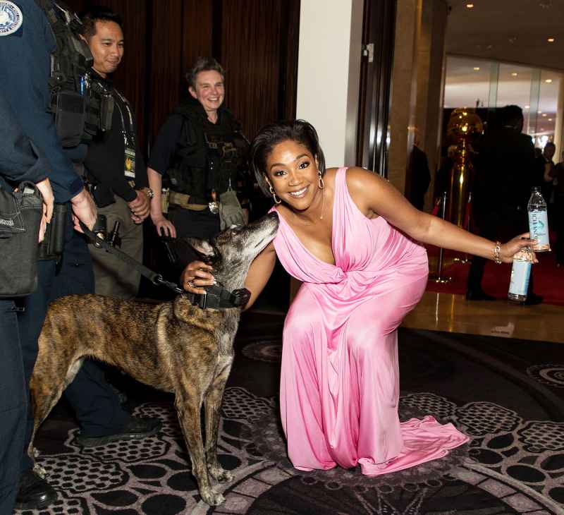 Tiffany Haddish Meets a Police Dog Inside the Golden Globes 2020