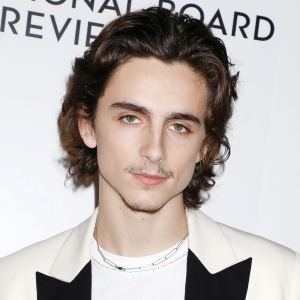 Timothee Chalamet's New Mustache