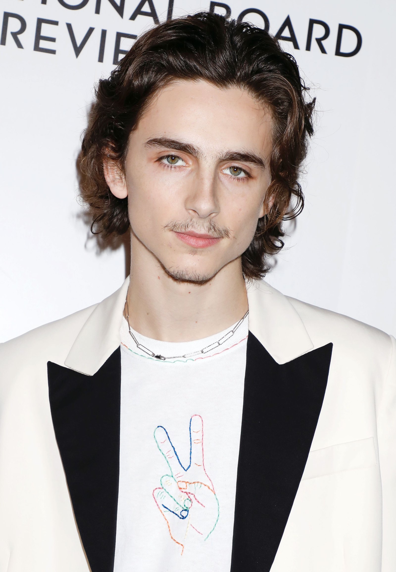 Timothee Chalamet's Mustache, Fan Reactions | Us Weekly