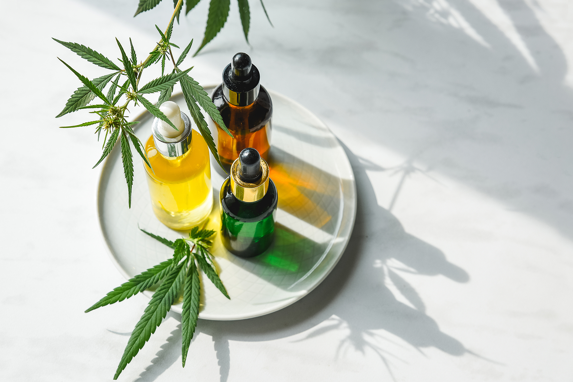 cbd-oils