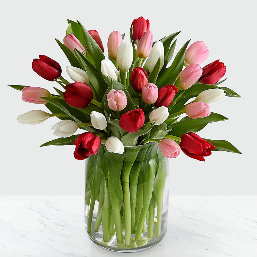tulips