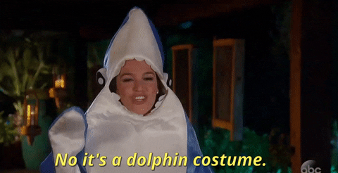 Giphy Gif Alexis Dolphin Most Viral Moments in Bachelor Nation