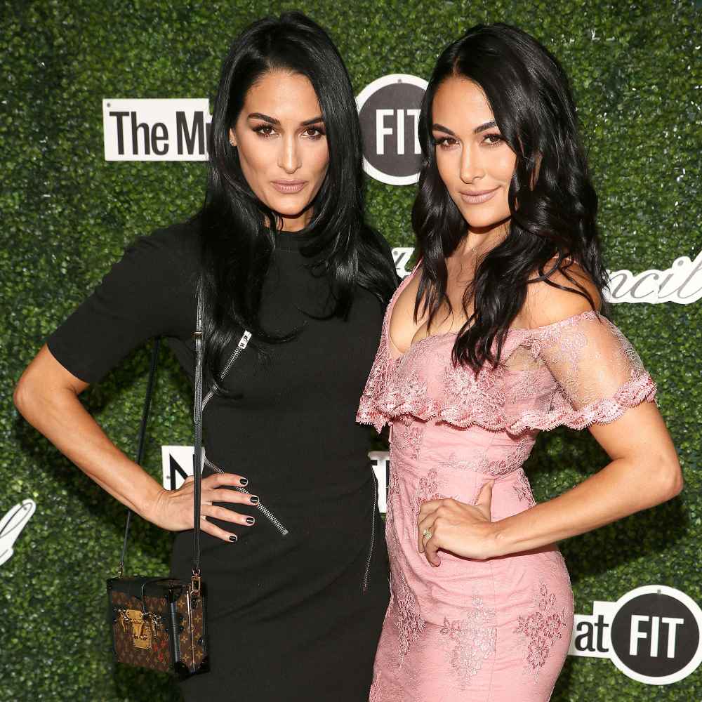 Brie Bella and Nikki Bella Couture Council Award Luncheon Did Not Plan on Being Pregnant Together