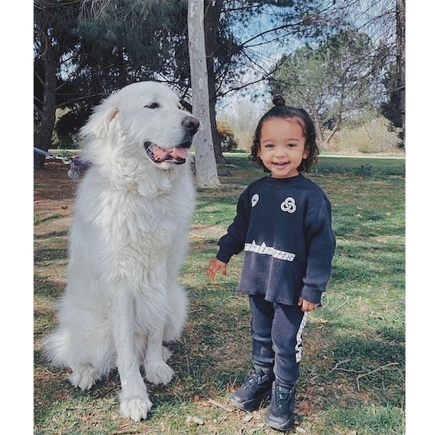 Chicago West's Baby Album