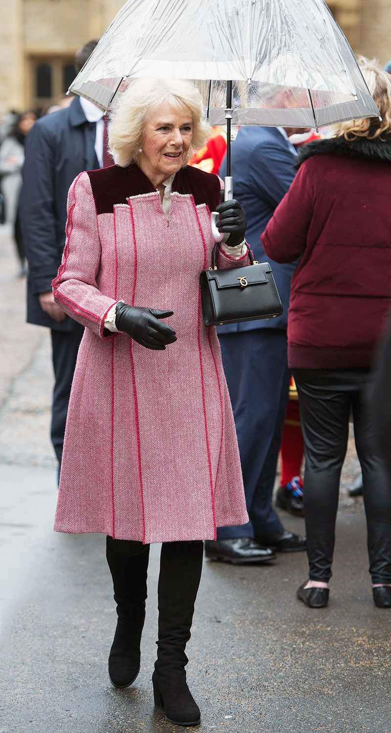 Duchess Camilla Pink Coatdress February 13, 2020