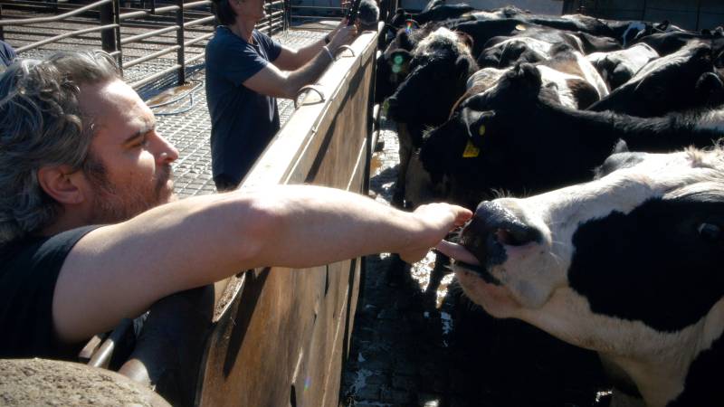 Joaquin Phoenix Rescues Cow Her Newborn Calf After Moving Oscars Speech