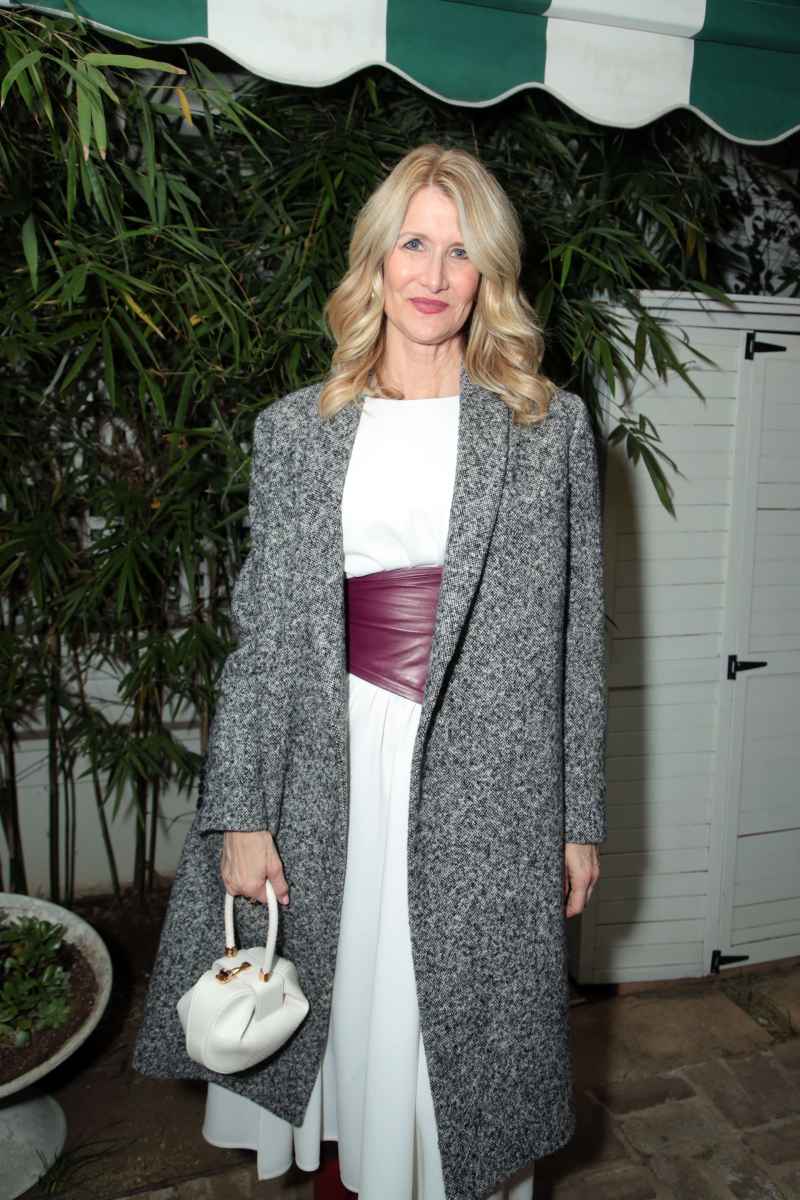 Laura Dern attends the CAA Pre-Oscar Party