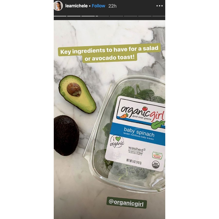Peeking Inside Lea Michele Reveals Healthy Foods Her Fridge