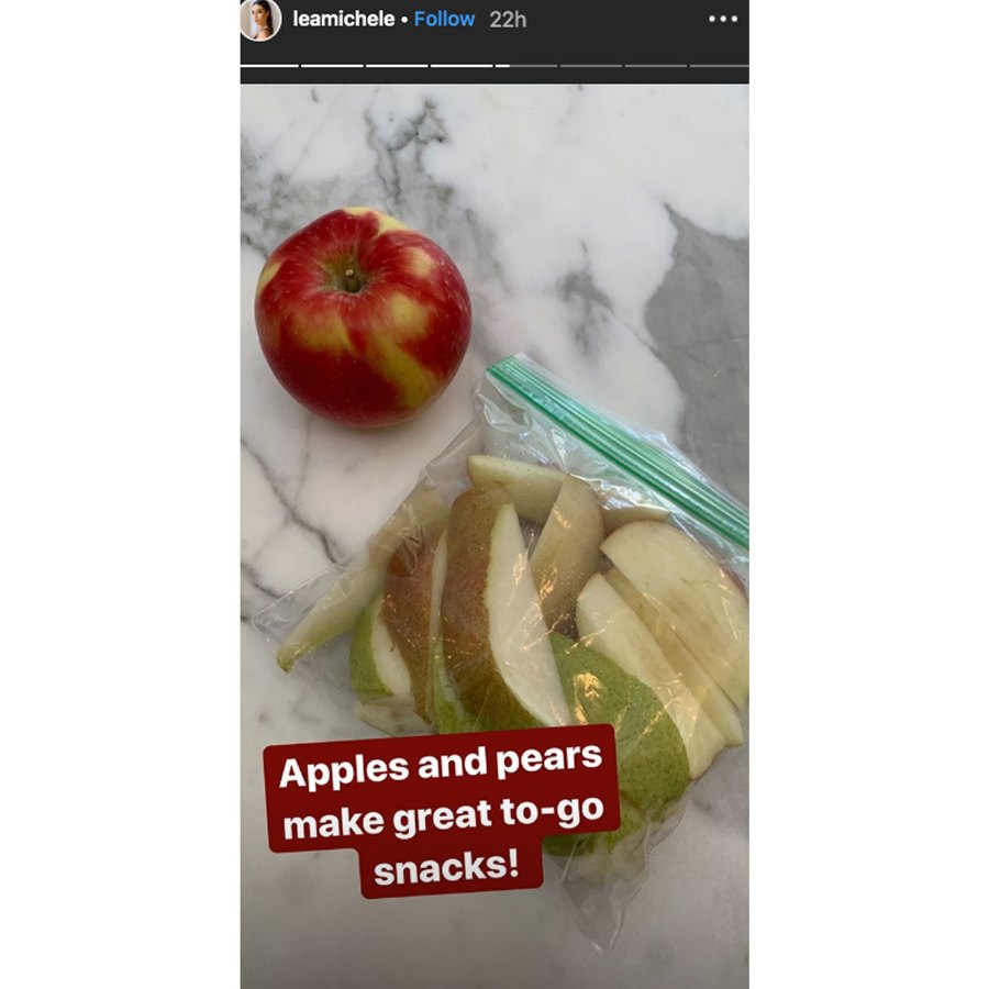 Peeking Inside Lea Michele Reveals Healthy Foods Her Fridge