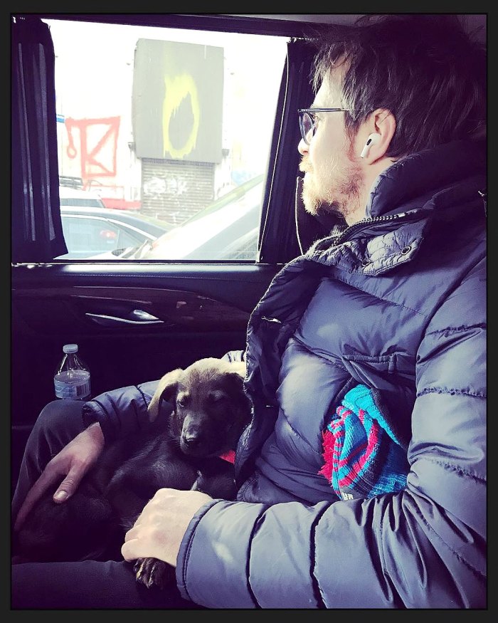 Leslie Bibb Sam Rockwell Add to Their Family New Rescue Pup