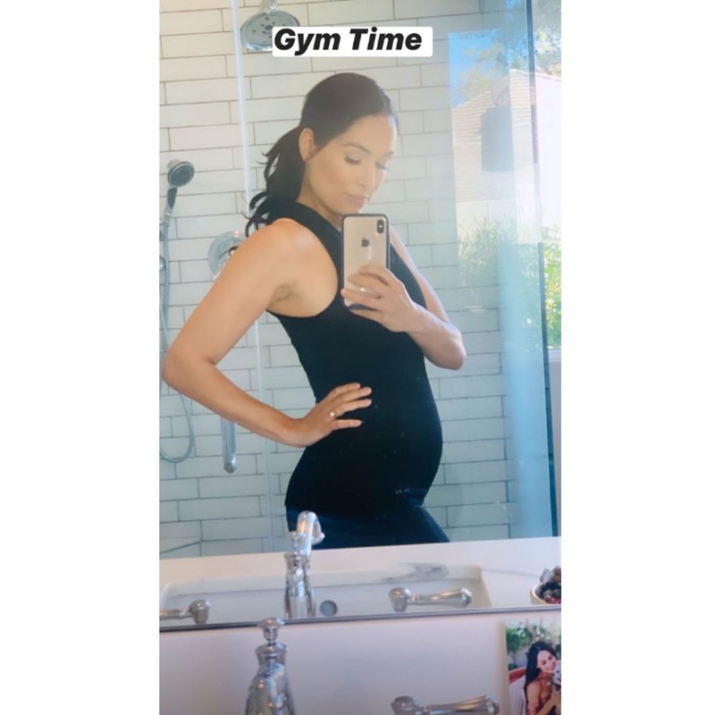 Nikki Bella and Brie Bella's Baby Bump Album Working Out Mirror Selfie