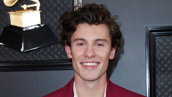 Shawn Mendes Reveals He’s Working on Another Album