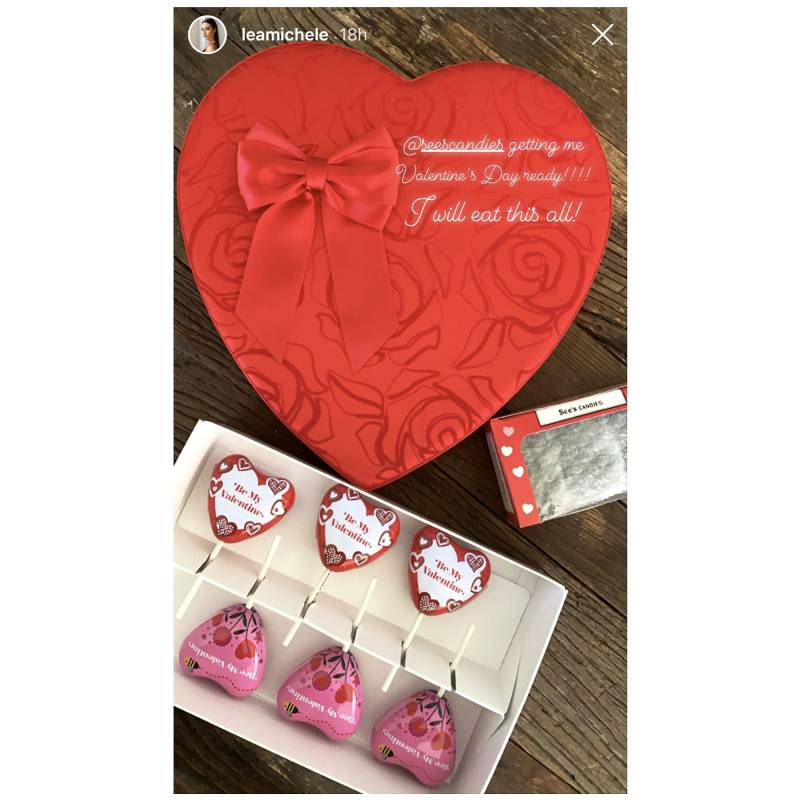 Lea Michele Stars Celebrate Valentines Day
