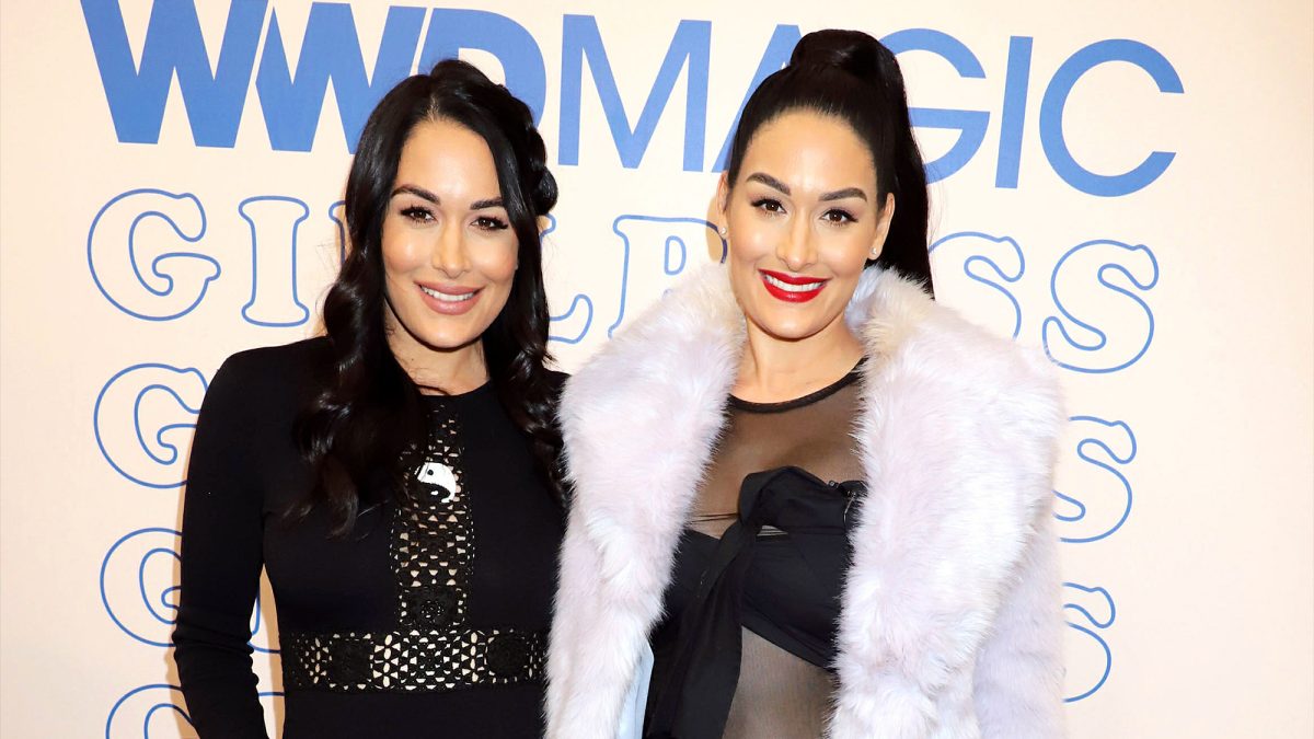 nikki bella brie bella skincare