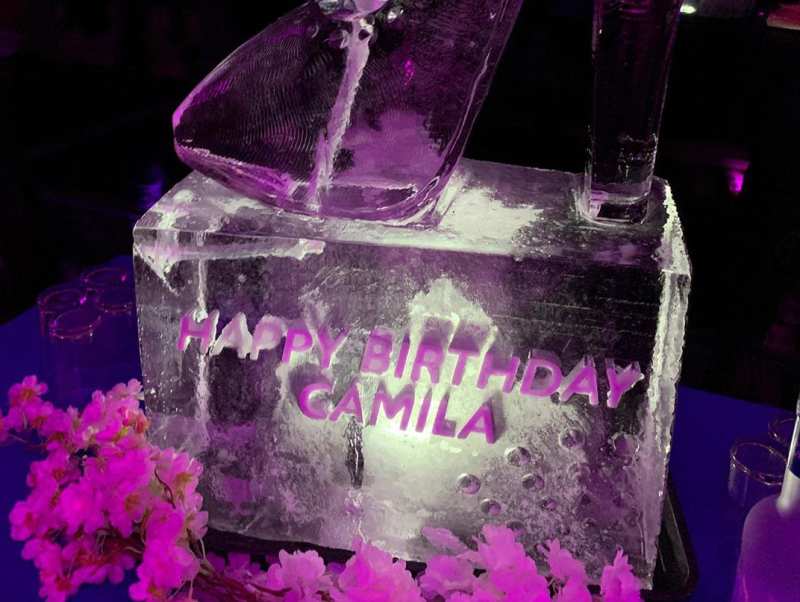 Camila-Cabello,-Shawn-Mendes-Celebrate-at-'Cinderella'-Birthday-Bash
