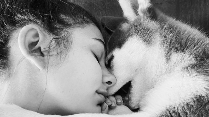 Camila Morrone Instagram Stars Adopting or Fostering Pups Amid Coronavirus
