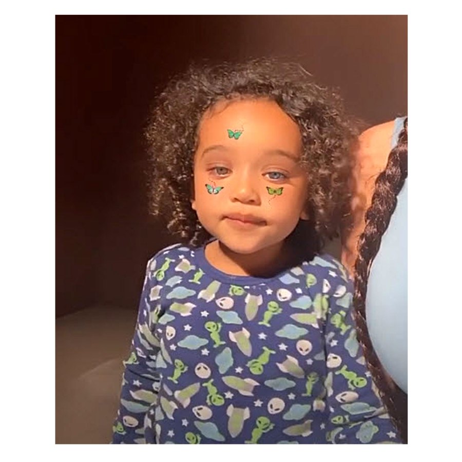 Chicago-Album-butterflies