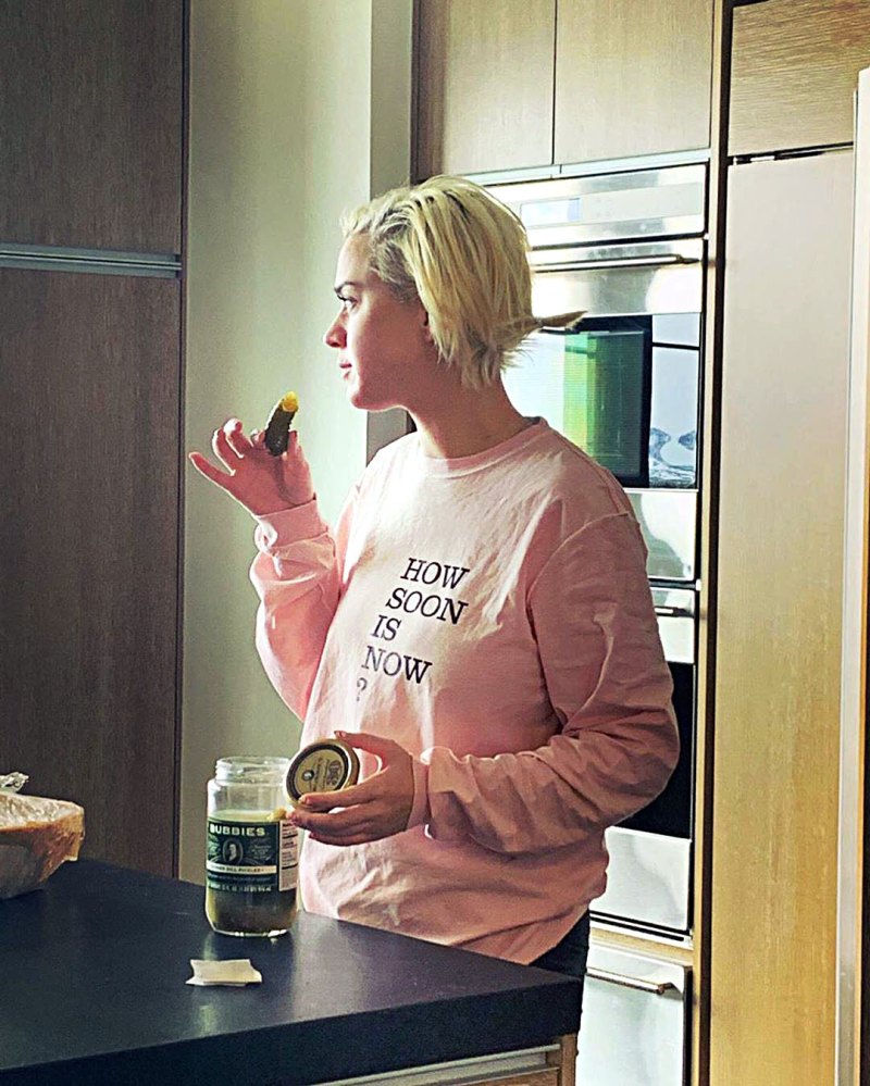 Pickles Everything Katy Perry Has Said About Her Pregnancy Cravings So Far