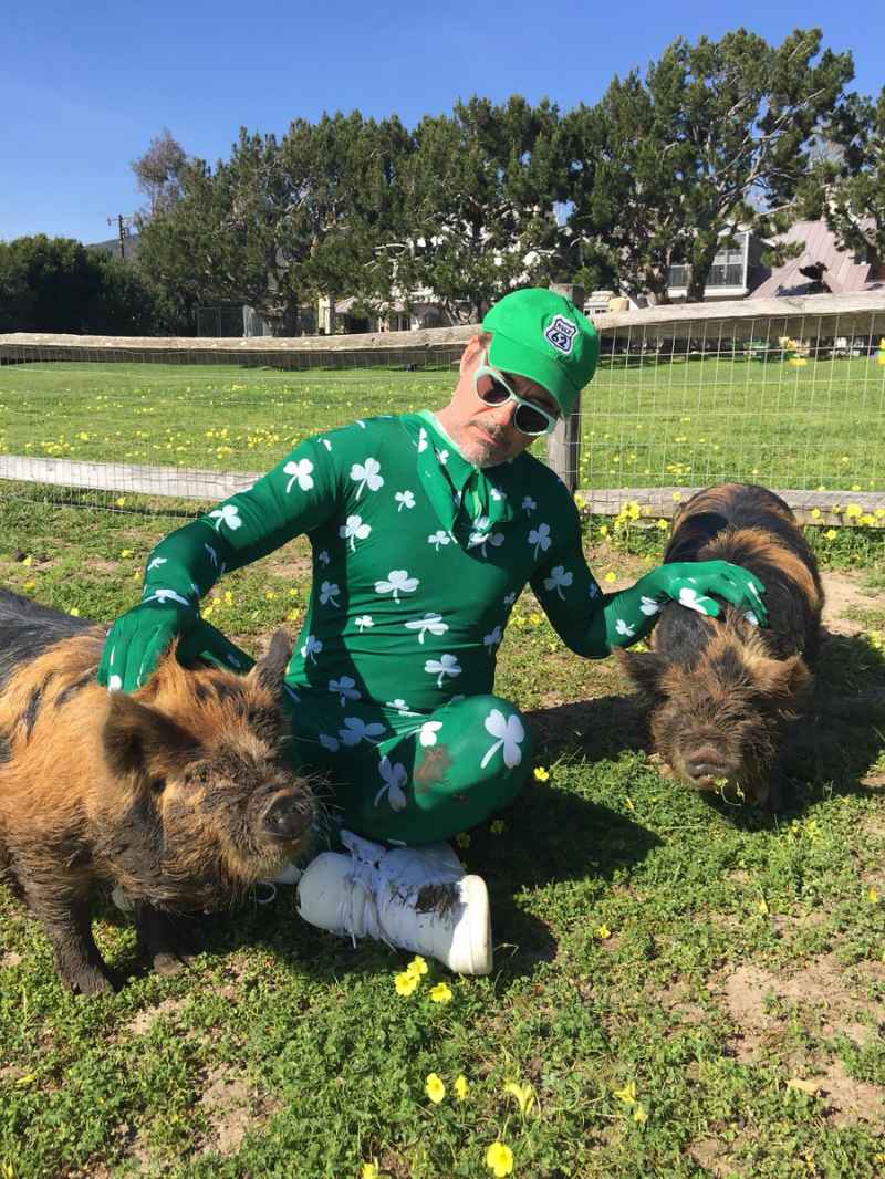Robert Downey Jr. How Stars Have Celebrated St. Patty's Through the Years