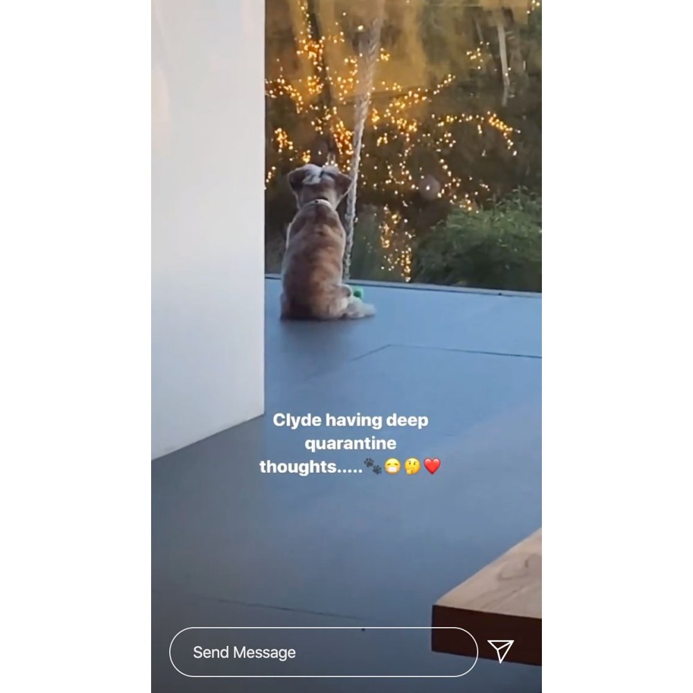 Jennifer Aniston Shows Her Pup Having Deep Quarantine Thoughts Amid Coronavirus Crisis