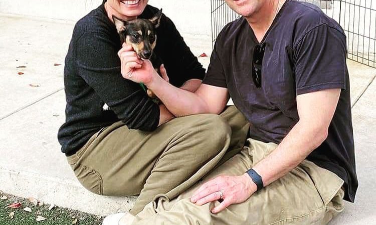 Kyle Chandler Instagram Stars Adopting or Fostering Pups Amid Coronavirus