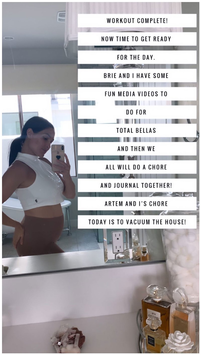 Nikki Bella Checklist Instagram Story