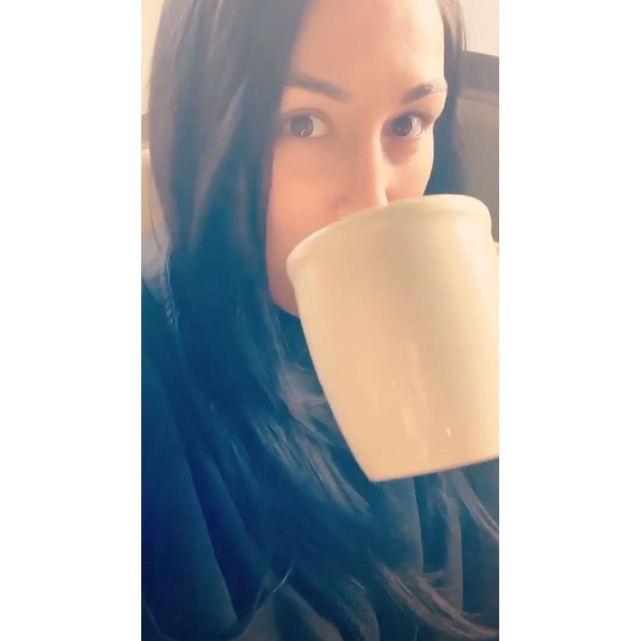 Nikki Bella Quotes Ahead of Baby Sunday is when Baby Grows