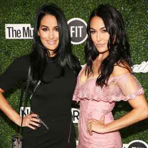 Nikki and Brie Bella Twinning Baby Bumps In Bikinis