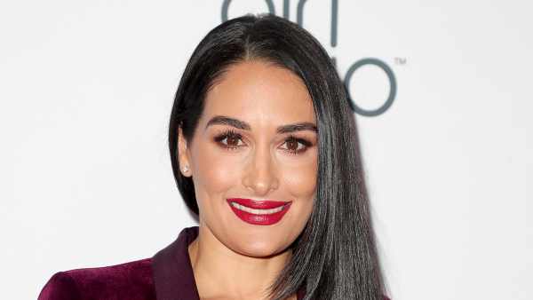 Pregnant Nikki Bella Shows 21-Week Baby Bump in Nude Selfie 2