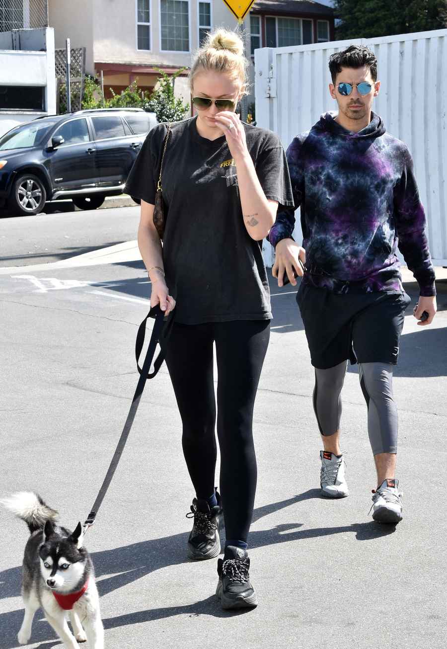 Pregnant Sophie Turner Covers Baby Bump With Puppy While Out With Joe Jonas